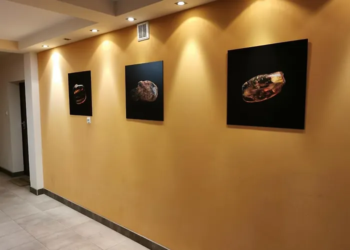 Arisa * Władysławowo