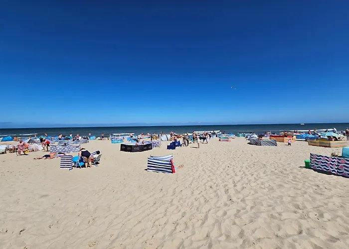 Arisa Władysławowo